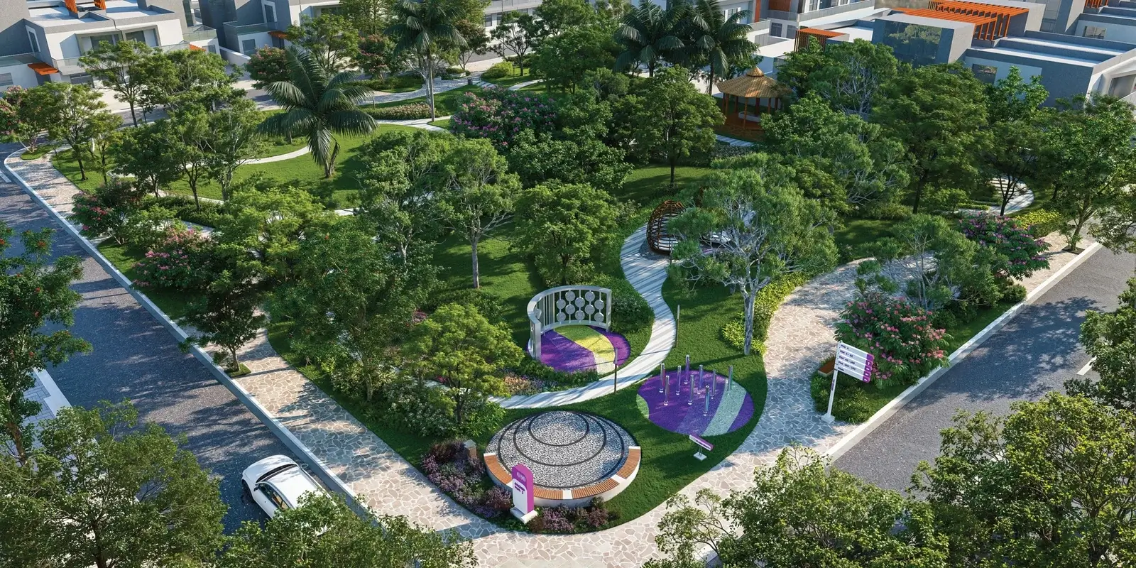Orchid Vista